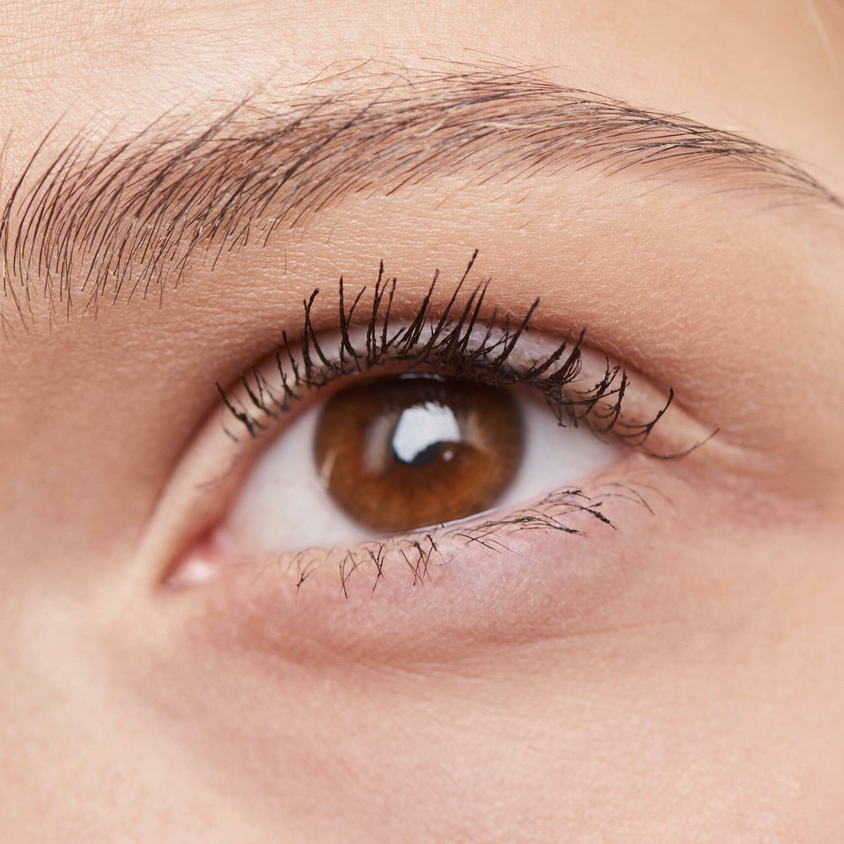 Detailed close-up of a woman's eye showcasing natural makeup and well-groomed eyebrow.