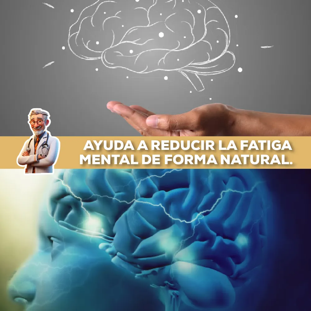 Melena de León con L-ERGOTIONEÍNA - Imagen 4